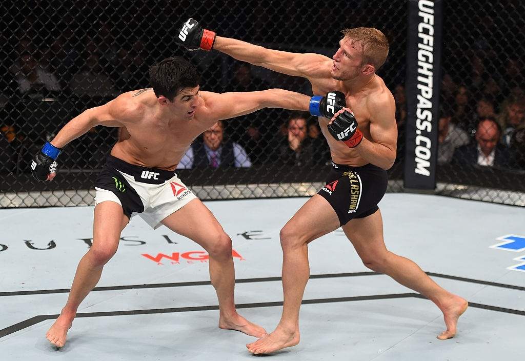 Dominick Cruz's vs T.J. Dillashaw