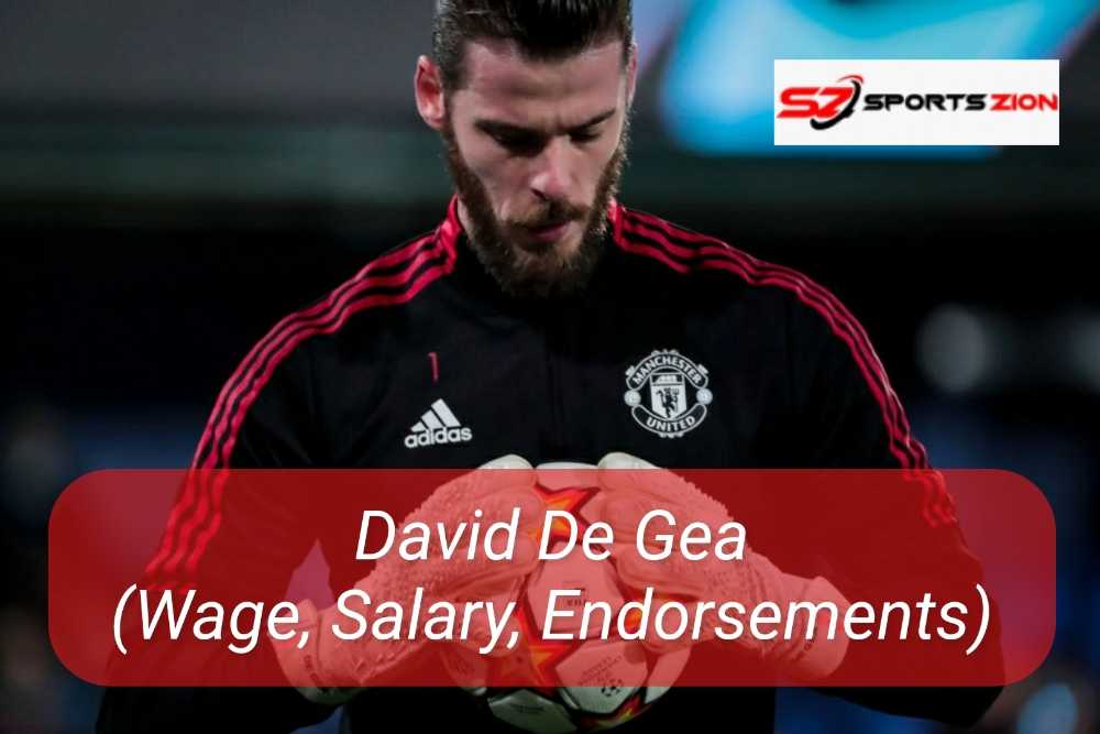 David De Gea Earnings
