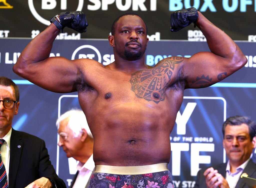 Dillian Whyte Career Earnings (purse, payouts) + Net Worth