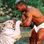 “I Let Them Bite Me in My Legs’’ Iron Mike Tyson Reveals How He Used to Spend time with His Pet Tigers