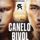 Canelo Alvarez vs Dmitry Bivol Purse