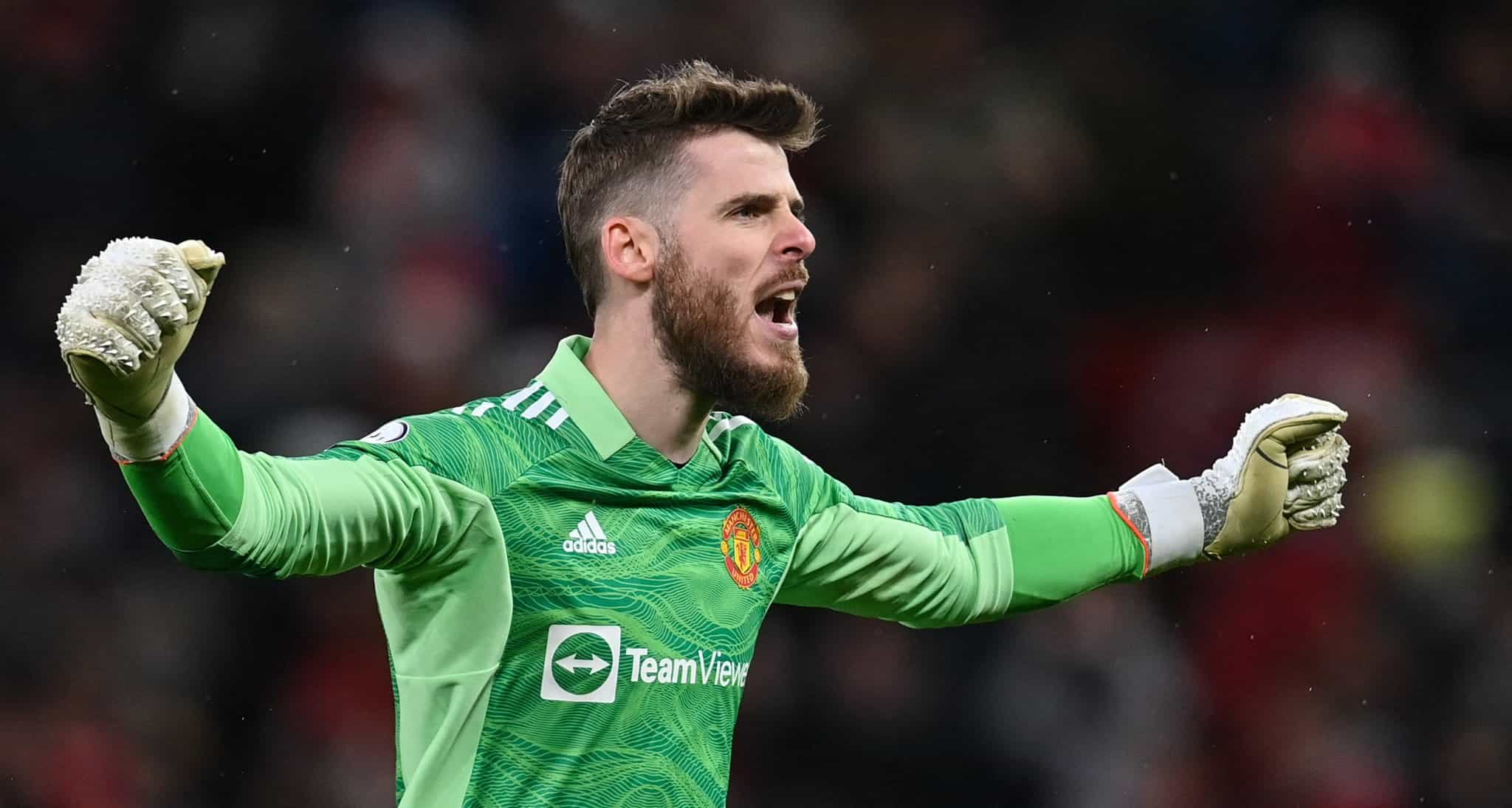 David De Gea Manchester United