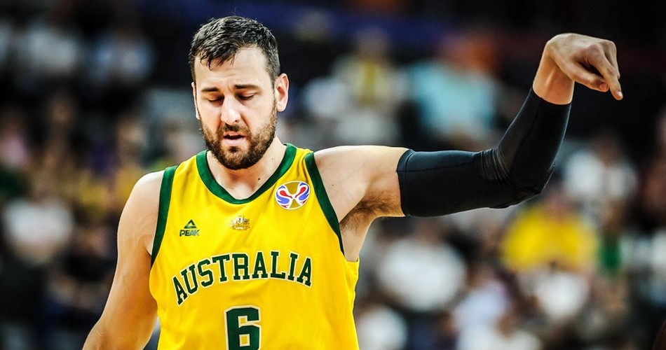 Andrew Bogut