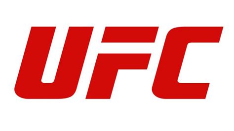 UFC 285 press conference