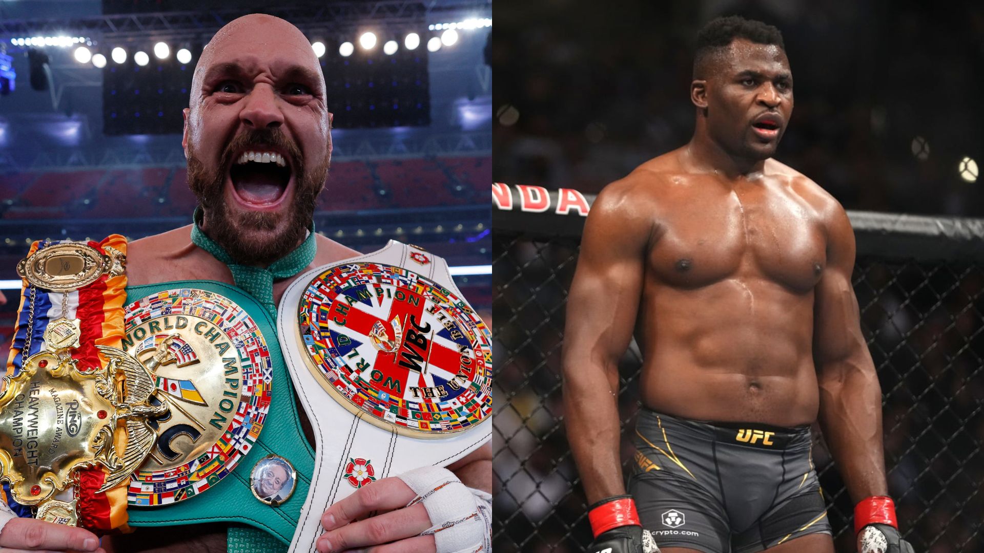 Tyson Fury celebrates after his win