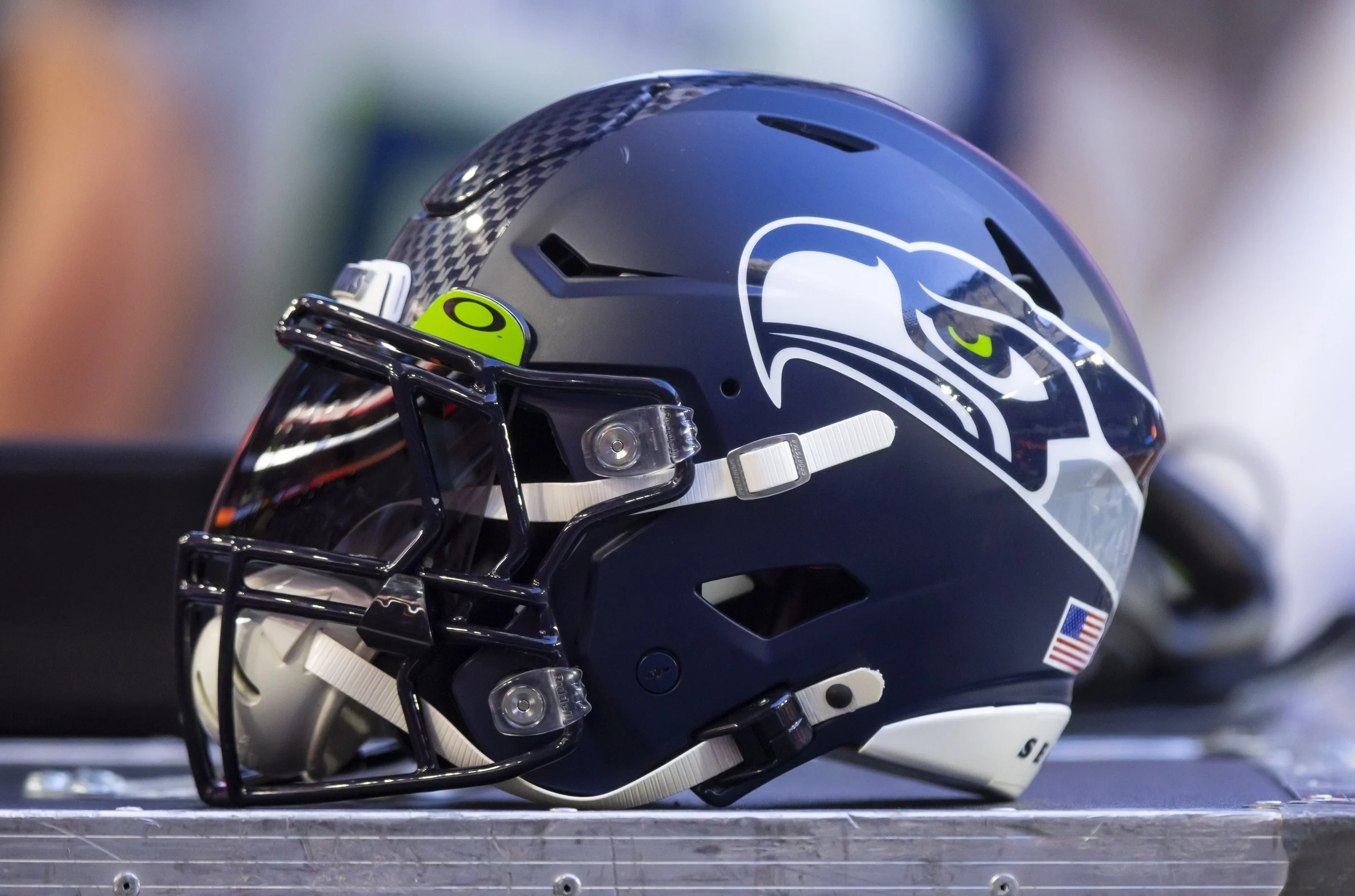 Seattle seahawks