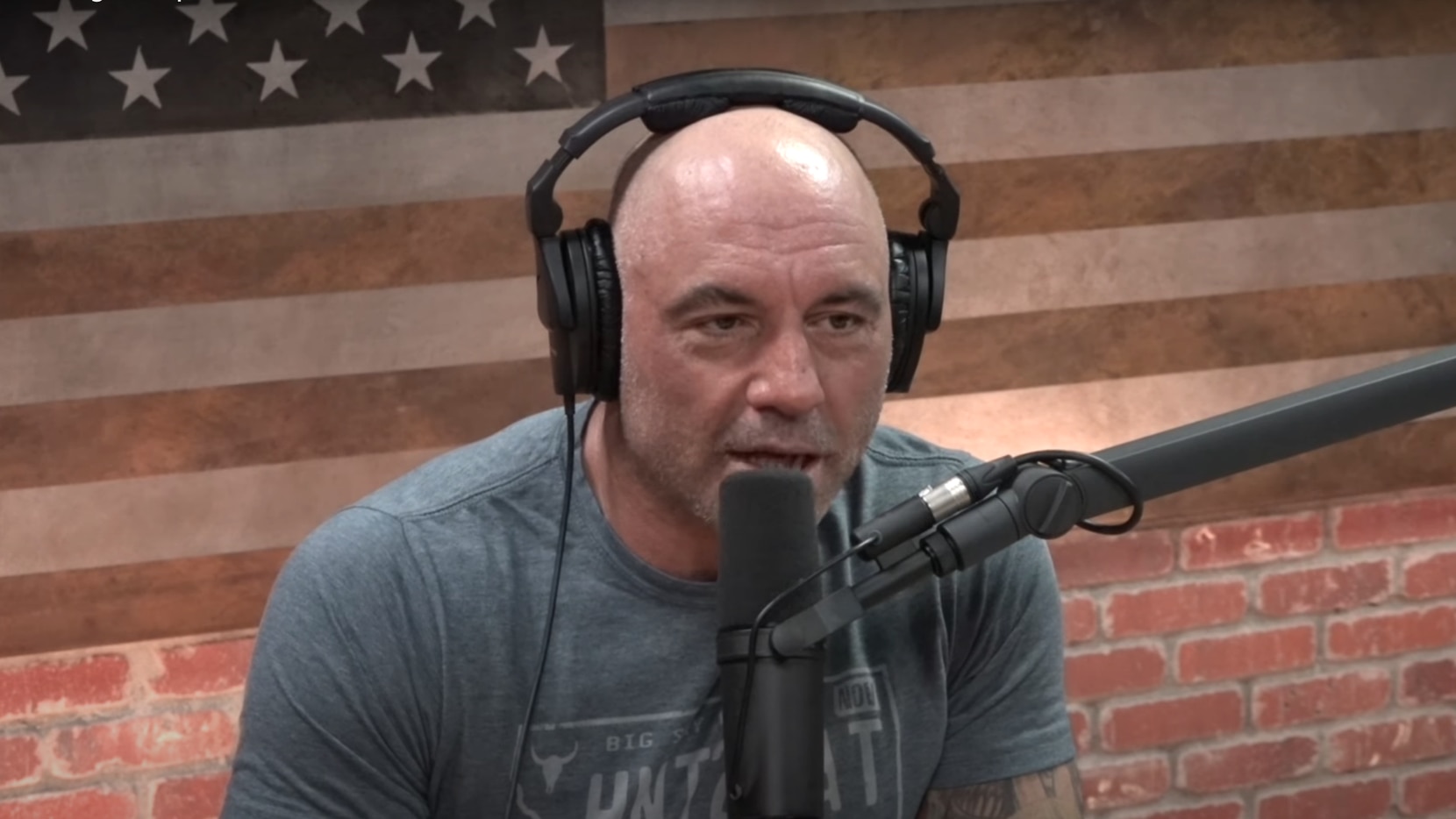 Joe Rogan Conor McGregor