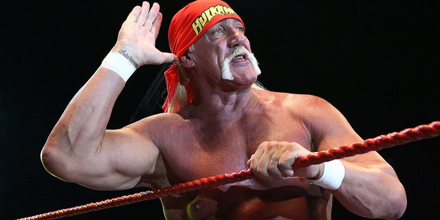 Hulk Hogan inside the ring