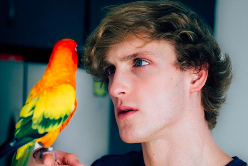 Logan Paul