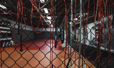 rise of MMA