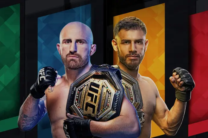 UFC 290