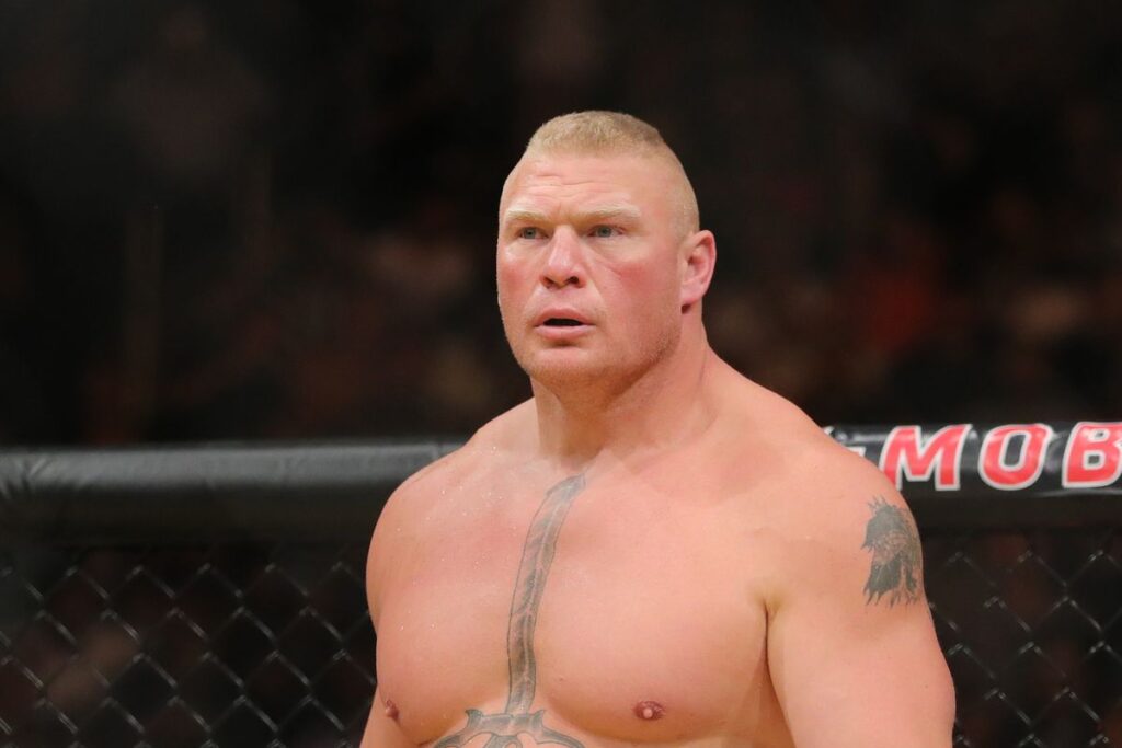 Brock in a UFC Ring