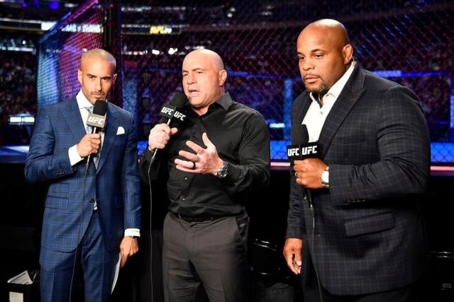 UFC 296: Who will be in the commentary box team