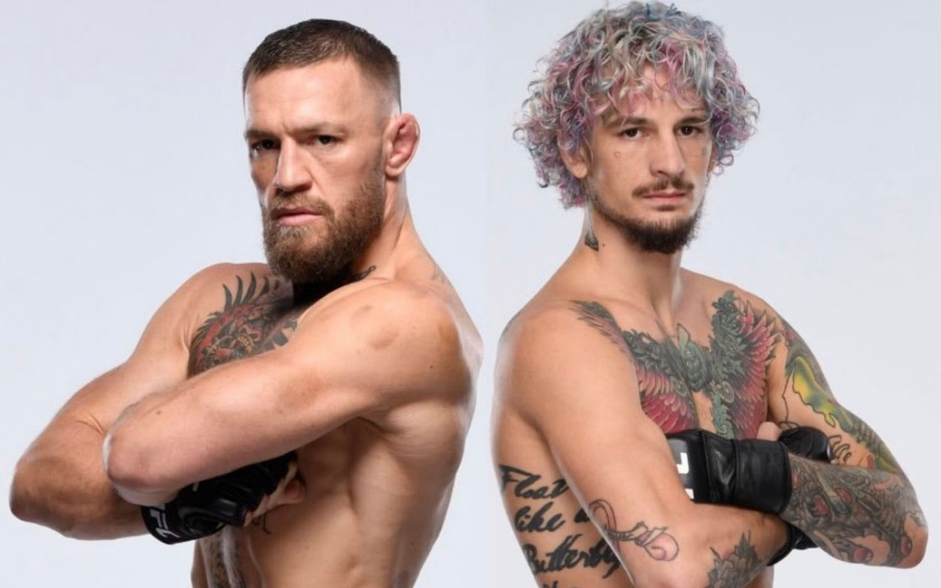 Conor Mcgregor and Sean O'Malley