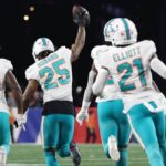 Miami Dolphins: lawsuit filed against player accused of spreading STDs
