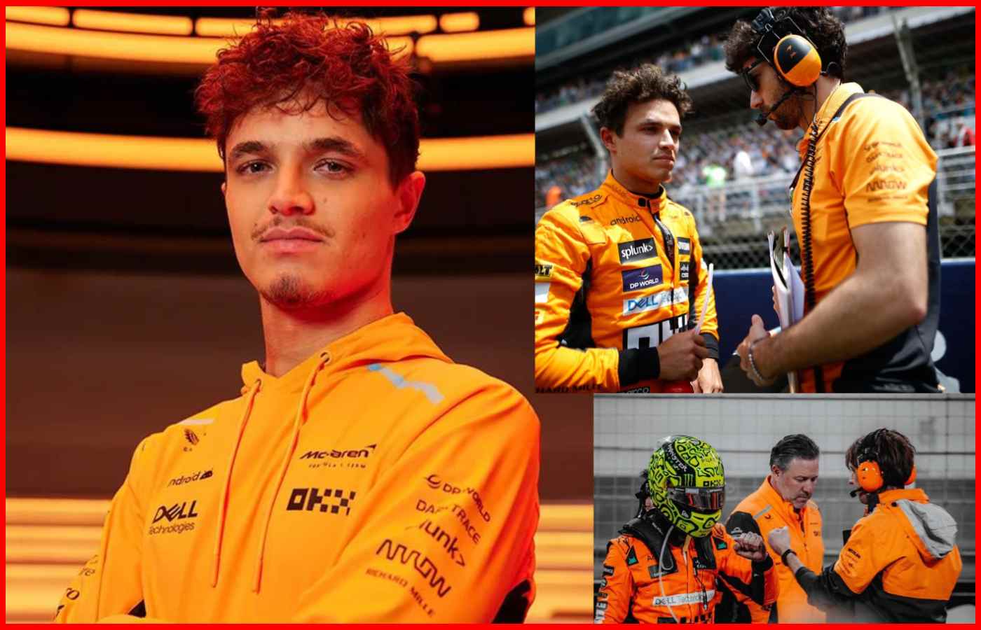 Lando Norris F1 feature