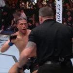 UFC official Marc Goddard sheds light on “sad reality” of being elite referee