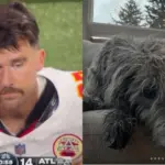 Travis Kelce’s Emotional Response to Sister-in-Law’s Heartbreaking Family Loss.