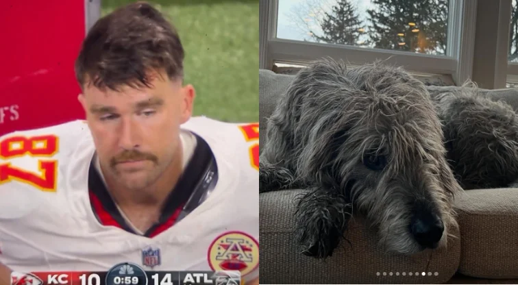 Travis Kelce